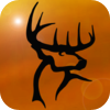 no app image